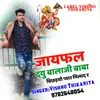 About jaifal dyu balaji baba bichdyo pyar milad r Song